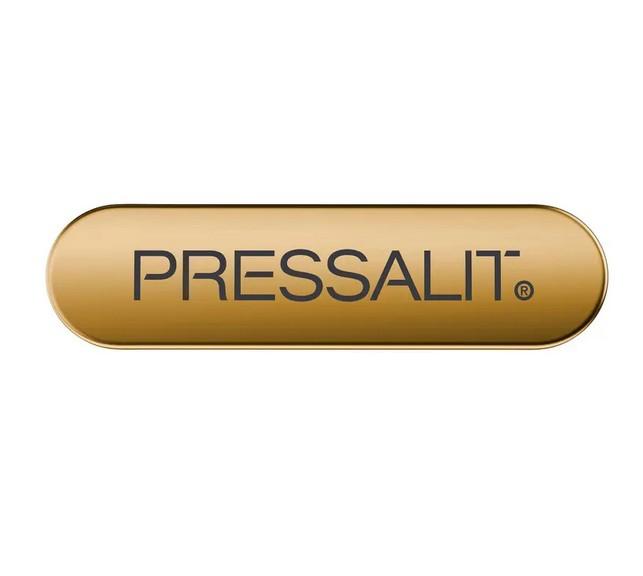 Pressalit Style designemblem med logo 2 stk - B&oslash;rstet messing
