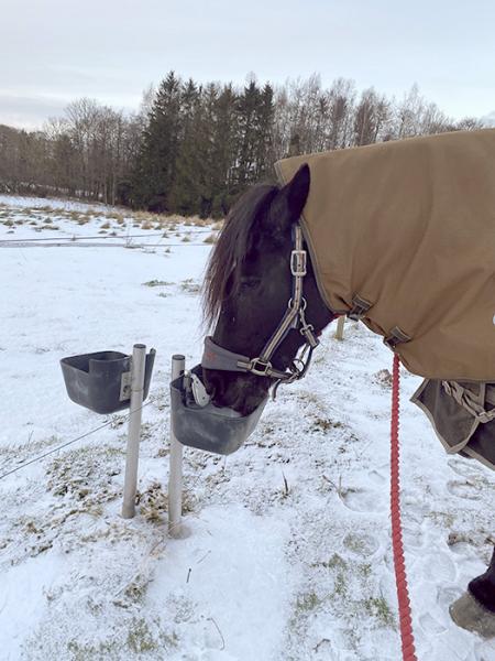 Frostfri drikkeautomat til k&oslash;er og heste - 40 cm